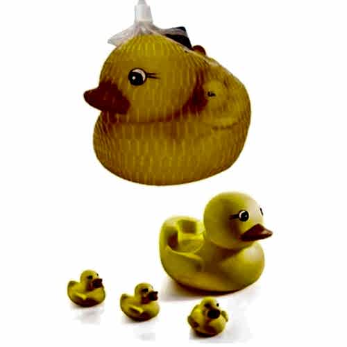 FİLEDE BÜYÜK SEVİMLİ ÖRDEK AİLESİ 66031 *50